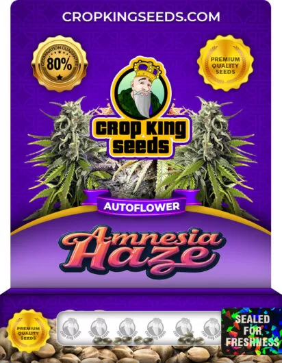 Amnesia Haze