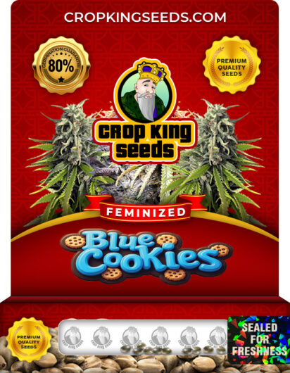 Blue Cookies Strain