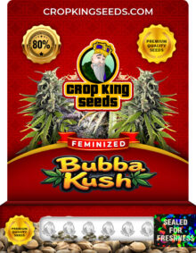 Bubba Kush Feminized Marijuana Seeds