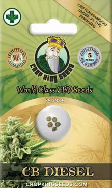 CB Diesel CBD Strain