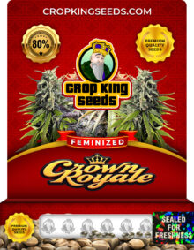Crown Royale Feminized Marijuana Seeds