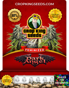 Dark Angel Feminized Marijuana Seeds