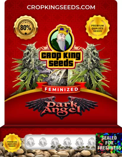 Dark Angel Strain