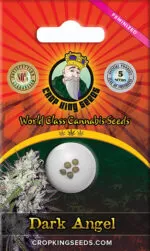 Dark Angel Strain