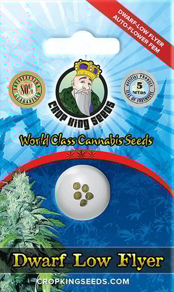Dwarf Low Flyer Strain