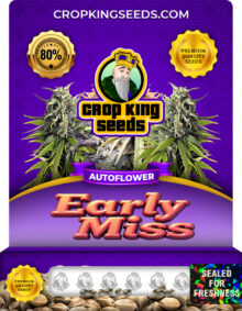 Early Miss Strain