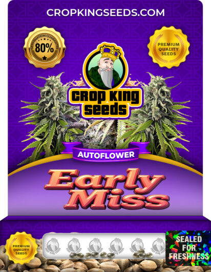 Early Miss Strain