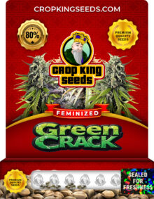 Green Crack Feminized Marijuana Seeds