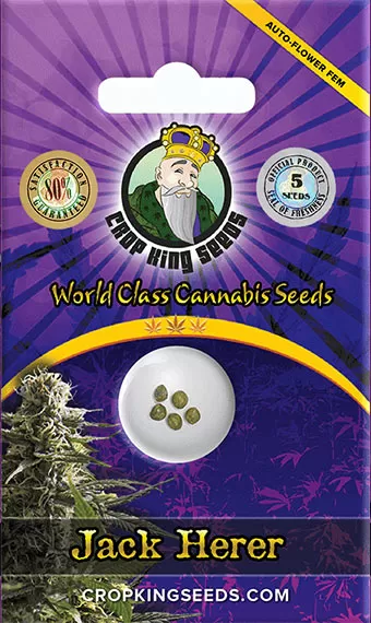 Buy Jack Herer Strain Autoflower Marijuana Seeds