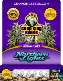 Northern Lights Autoflower Marijuana Seeds