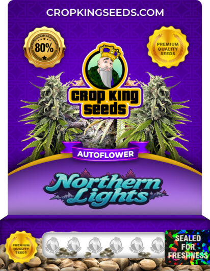 Northern Lights Strain