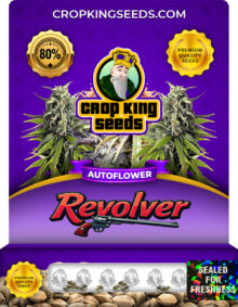 Revolver Autoflower Marijuana Seeds