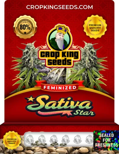 Sativa Star Strain