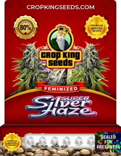 Super Silver Haze