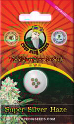 Super Silver Haze