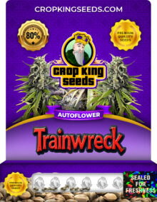 Trainwreck Strain