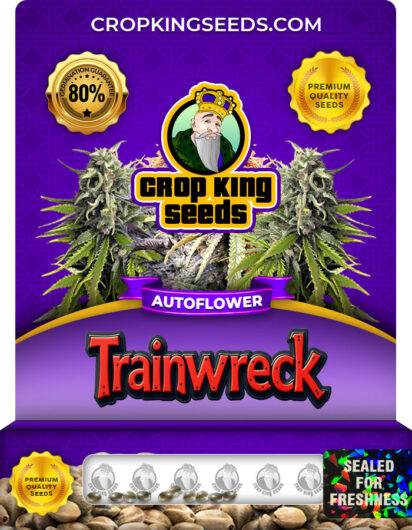 Trainwreck Strain