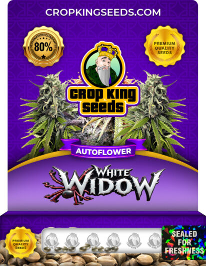 White Widow Strain