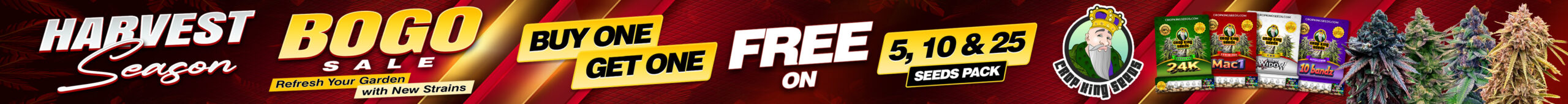 Buy One Get One Harvest Season Promo