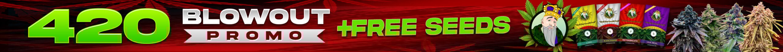 420 Promo Cannabis Seeds BOGO