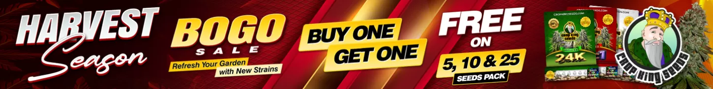 Buy One Get One Harvest Season Promo