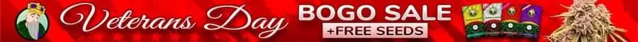 Veterans Day Promo