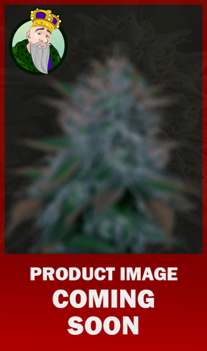 Coming Soon Products