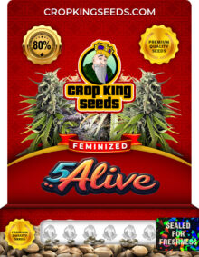 5 Alive Strain