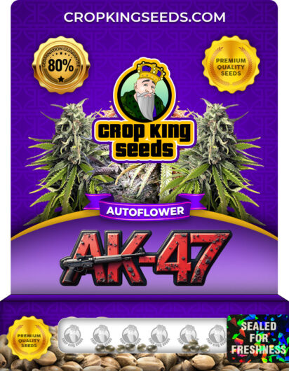 AK-47 Strain