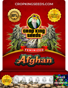 Afghan Feminized Marijuana Seeds
