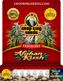 Afghan Kush Feminized Marijuana Seeds