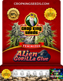 Alien Gorilla Glue Feminized Marijuana Seeds