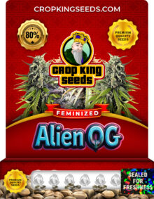 Alien OG Feminized Marijuana Seeds