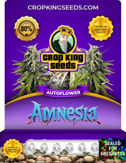 Amnesia Strain
