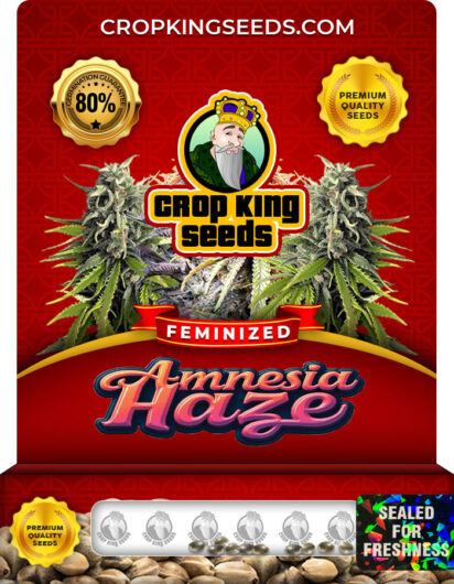 Amnesia Haze