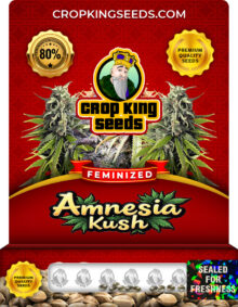 Amnesia Kush