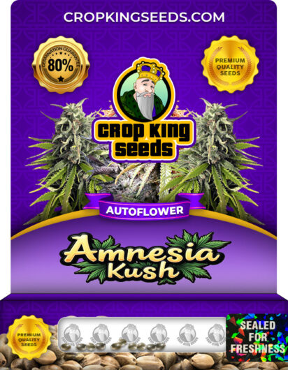 Amnesia Kush