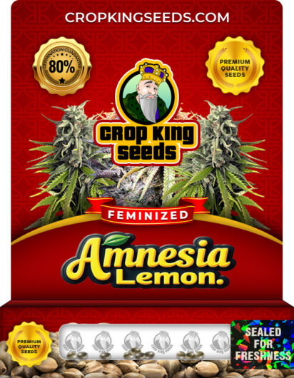 Amnesia Lemon Strain