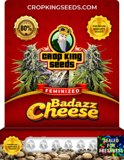 Badazz Cheese Strain