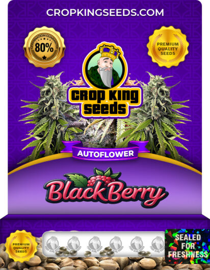 BlackBerry Strain