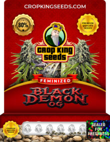 Black Demon OG Strain