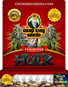 Black Hulk Strain