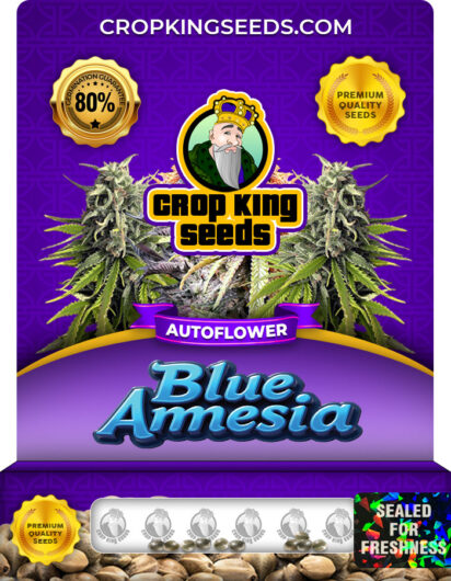 Blue Amnesia Strain