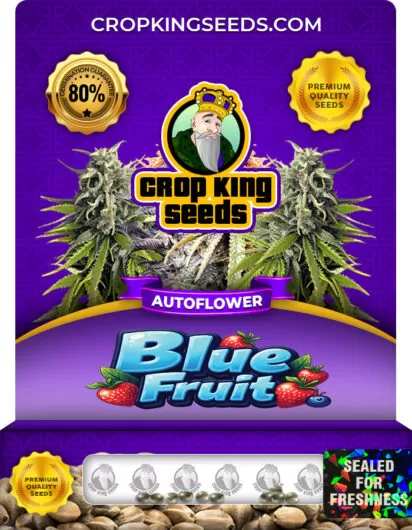 Blue Fruit Strain