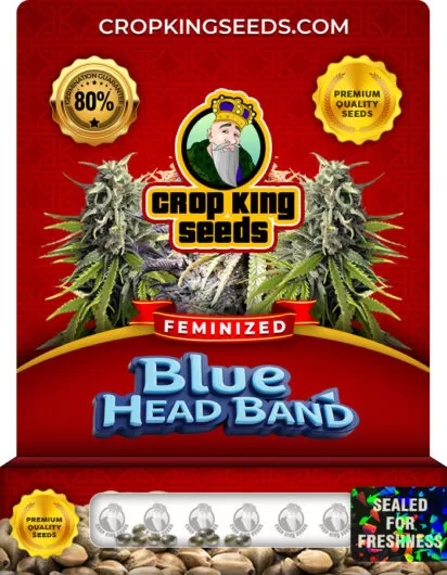 Blue Headband Strain