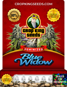 Blue Widow Strain