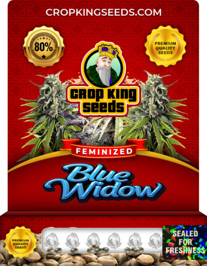 Blue Widow Strain