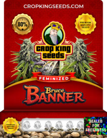 Bruce Banner Strain