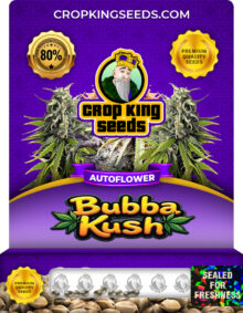 Bubba Kush Autoflowering Marijuana Seeds