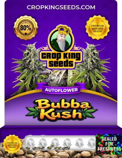 Bubba Kush Strain